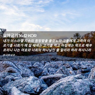 Picture 02 - 출애굽기 16:12 KOR - 내가 이스라엘 자손의 원망함을 - Bible Verse Picture