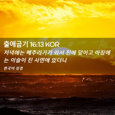 Picture 02 - 출애굽기 16:13 KOR - 저녁에는 메추라기가 와서 진에 - Bible Verse Picture