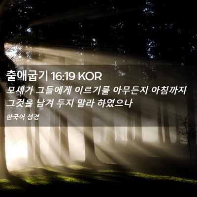 Picture 02 - 출애굽기 16:19 KOR - 모세가 그들에게 이르기를 아무든지 - Bible Verse Picture