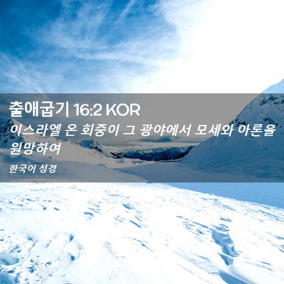 Picture 02 - 출애굽기 16:2 KOR - 이스라엘 온 회중이 그 광야에서 - Bible Verse Picture