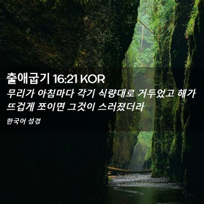 Picture 02 - 출애굽기 16:21 KOR - 무리가 아침마다 각기 식량대로 - Bible Verse Picture