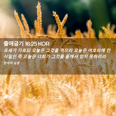 Picture 02 - 출애굽기 16:25 KOR - 모세가 가로되 오늘은 그것을 먹으라 - Bible Verse Picture