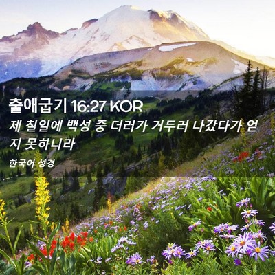 Picture 02 - 출애굽기 16:27 KOR - 제 칠일에 백성 중 더러가 거두러 - Bible Verse Picture