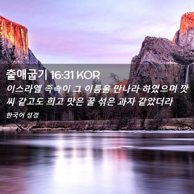 Picture 02 - 출애굽기 16:31 KOR - 이스라엘 족속이 그 이름을 만나라 - Bible Verse Picture