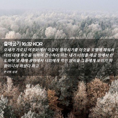 Picture 02 - 출애굽기 16:32 KOR - 모세가 가로되 여호와께서 이같이 - Bible Verse Picture