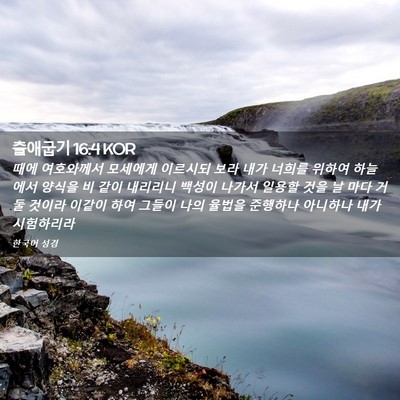 Picture 02 - 출애굽기 16:4 KOR - 때에 여호와께서 모세에게 이르시되 - Bible Verse Picture