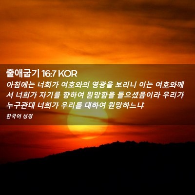 Picture 02 - 출애굽기 16:7 KOR - 아침에는 너희가 여호와의 영광을 - Bible Verse Picture