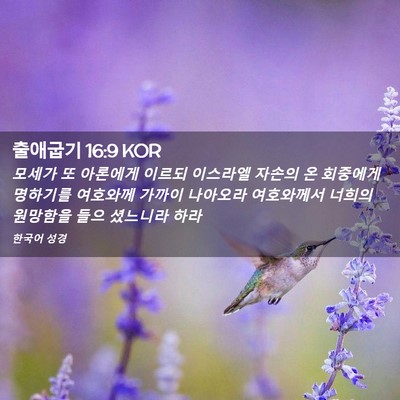 Picture 02 - 출애굽기 16:9 KOR - 모세가 또 아론에게 이르되 이스라엘 - Bible Verse Picture