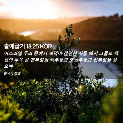 Picture 02 - 출애굽기 18:25 KOR - 이스라엘 무리 중에서 재덕이 겸전한 - Bible Verse Picture