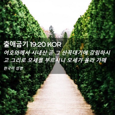 Picture 02 - 출애굽기 19:20 KOR - 여호와께서 시내산 곧 그 산꼭대기에 - Bible Verse Picture