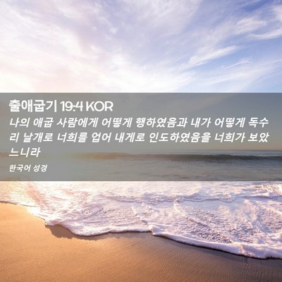 Picture 02 - 출애굽기 19:4 KOR - 나의 애굽 사람에게 어떻게 - Bible Verse Picture