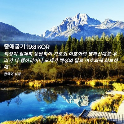 Picture 02 - 출애굽기 19:8 KOR - 백성이 일제히 응답하여 가로되 - Bible Verse Picture