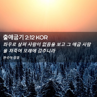 Picture 02 - 출애굽기 2:12 KOR - 좌우로 살펴 사람이 없음을 보고 그 - Bible Verse Picture