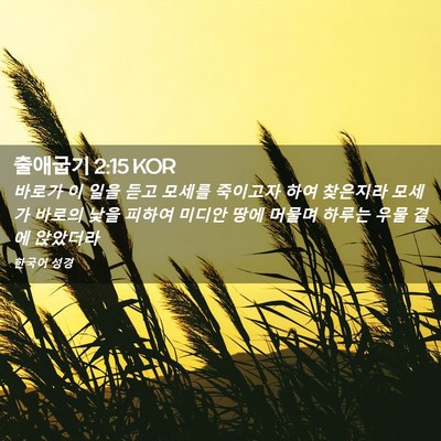 Picture 02 - 출애굽기 2:15 KOR - 바로가 이 일을 듣고 모세를 - Bible Verse Picture