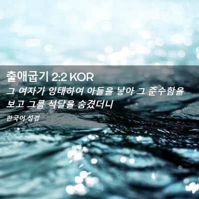 Picture 02 - 출애굽기 2:2 KOR - 그 여자가 잉태하여 아들을 낳아 그 - Bible Verse Picture