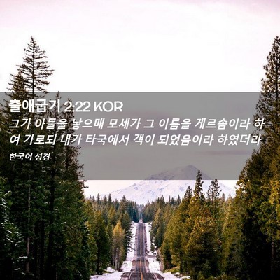 Picture 02 - 출애굽기 2:22 KOR - 그가 아들을 낳으매 모세가 그 - Bible Verse Picture
