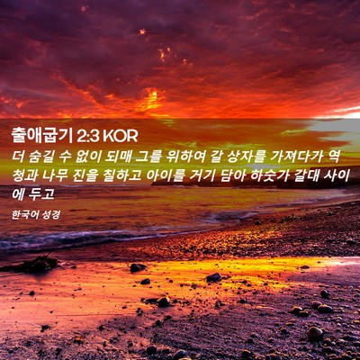 Picture 02 - 출애굽기 2:3 KOR - 더 숨길 수 없이 되매 그를 위하여 갈 - Bible Verse Picture