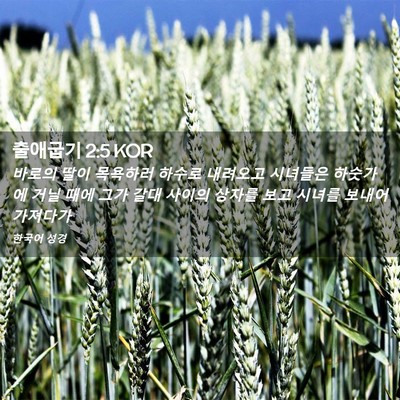 Picture 02 - 출애굽기 2:5 KOR - 바로의 딸이 목욕하러 하수로 - Bible Verse Picture