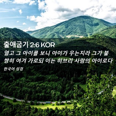 Picture 02 - 출애굽기 2:6 KOR - 열고 그 아이를 보니 아이가 - Bible Verse Picture