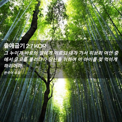 Picture 02 - 출애굽기 2:7 KOR - 그 누이가 바로의 딸에게 이르되 - Bible Verse Picture
