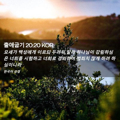 Picture 02 - 출애굽기 20:20 KOR - 모세가 백성에게 이르되 두려워 말라 - Bible Verse Picture