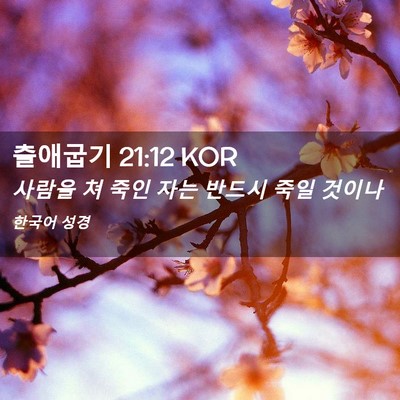 Picture 02 - 출애굽기 21:12 KOR - 사람을 쳐 죽인 자는 반드시 죽일 - Bible Verse Picture
