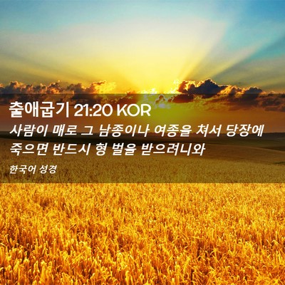 Picture 02 - 출애굽기 21:20 KOR - 사람이 매로 그 남종이나 여종을 - Bible Verse Picture
