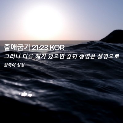 Picture 02 - 출애굽기 21:23 KOR - 그러나 다른 해가 있으면 갚되 - Bible Verse Picture