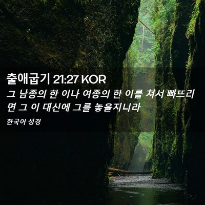 Picture 02 - 출애굽기 21:27 KOR - 그 남종의 한 이나 여종의 한 이를 - Bible Verse Picture