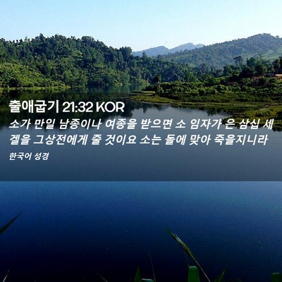 Picture 02 - 출애굽기 21:32 KOR - 소가 만일 남종이나 여종을 받으면 - Bible Verse Picture