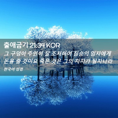 Picture 02 - 출애굽기 21:34 KOR - 그 구덩이 주인이 잘 조처하여 - Bible Verse Picture