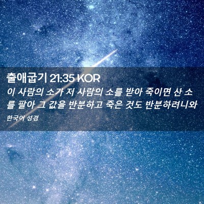 Picture 02 - 출애굽기 21:35 KOR - 이 사람의 소가 저 사람의 소를 받아 - Bible Verse Picture
