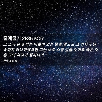 Picture 02 - 출애굽기 21:36 KOR - 그 소가 본래 받는 버릇이 있는 줄을 - Bible Verse Picture