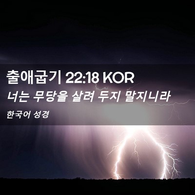 Picture 02 - 출애굽기 22:18 KOR - 너는 무당을 살려 두지 - Bible Verse Picture