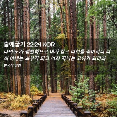 Picture 02 - 출애굽기 22:24 KOR - 나의 노가 맹렬하므로 내가 칼로 - Bible Verse Picture