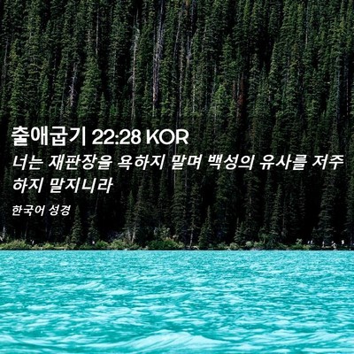 Picture 02 - 출애굽기 22:28 KOR - 너는 재판장을 욕하지 말며 백성의 - Bible Verse Picture