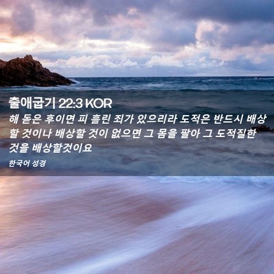 Picture 02 - 출애굽기 22:3 KOR - 해 돋은 후이면 피 흘린 죄가 - Bible Verse Picture