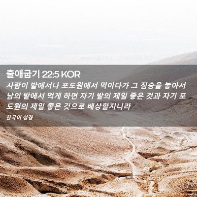 Picture 02 - 출애굽기 22:5 KOR - 사람이 밭에서나 포도원에서 - Bible Verse Picture