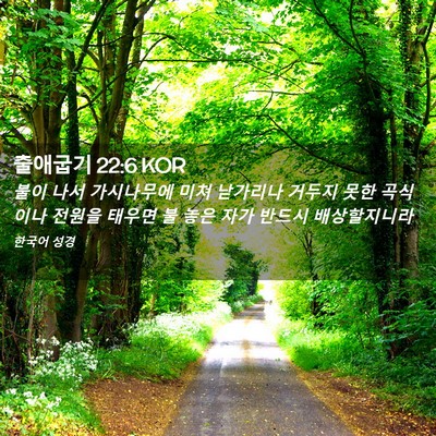 Picture 02 - 출애굽기 22:6 KOR - 불이 나서 가시나무에 미쳐 낟가리나 - Bible Verse Picture