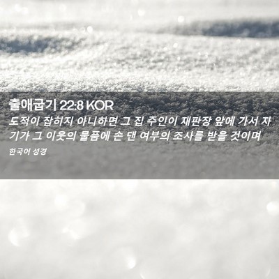 Picture 02 - 출애굽기 22:8 KOR - 도적이 잡히지 아니하면 그 집 - Bible Verse Picture