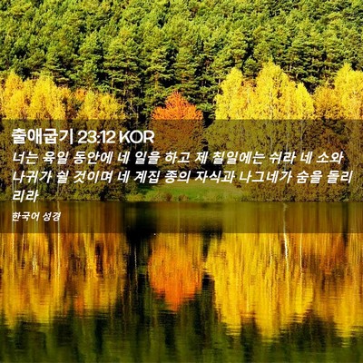 Picture 02 - 출애굽기 23:12 KOR - 너는 육일 동안에 네 일을 하고 제 - Bible Verse Picture