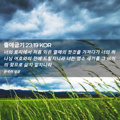 Picture 02 - 출애굽기 23:19 KOR - 너의 토지에서 처음 익은 열매의 - Bible Verse Picture
