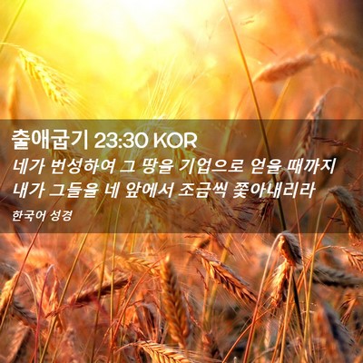 Picture 02 - 출애굽기 23:30 KOR - 네가 번성하여 그 땅을 기업으로 - Bible Verse Picture