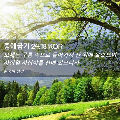 Picture 02 - 출애굽기 24:18 KOR - 모세는 구름 속으로 들어가서 산 - Bible Verse Picture