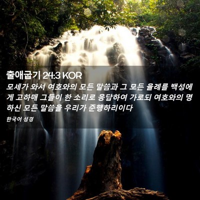 Picture 02 - 출애굽기 24:3 KOR - 모세가 와서 여호와의 모든 말씀과 - Bible Verse Picture
