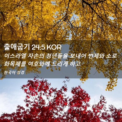 Picture 02 - 출애굽기 24:5 KOR - 이스라엘 자손의 청년들을 보내어 - Bible Verse Picture