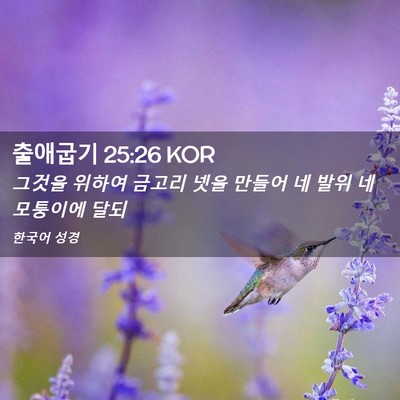 Picture 02 - 출애굽기 25:26 KOR - 그것을 위하여 금고리 넷을 만들어 - Bible Verse Picture