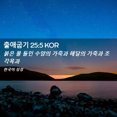 Picture 02 - 출애굽기 25:5 KOR - 붉은 물 들인 수양의 가죽과 해달의 - Bible Verse Picture