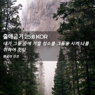 Picture 02 - 출애굽기 25:8 KOR - 내가 그들 중에 거할 성소를 그들을 - Bible Verse Picture