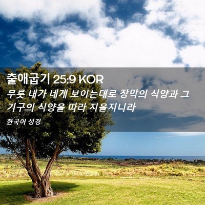 Picture 02 - 출애굽기 25:9 KOR - 무릇 내가 네게 보이는대로 장막의 - Bible Verse Picture